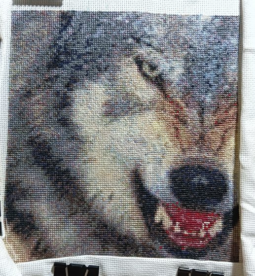 Этап процесса «Волк»