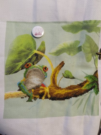 Этап процесса «"Frogs" Риолис»