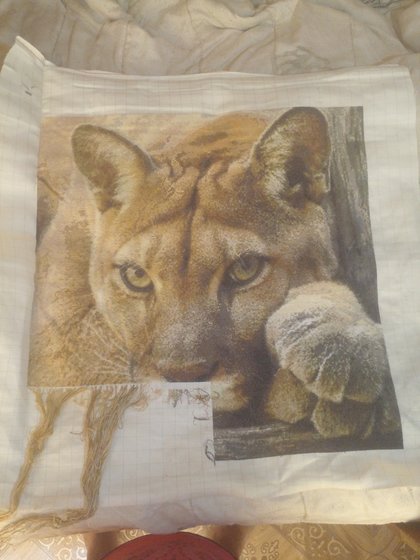 Этап процесса «Пума»