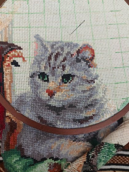 Этап процесса «Кошачья семья»