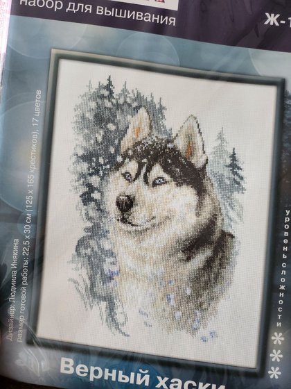 Этап процесса «PANNA - Верный хаски»