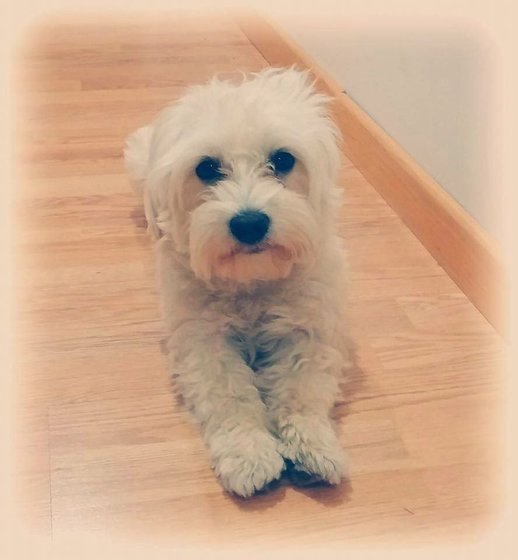 Этап процесса «Miferiki»