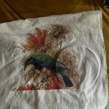 Процесс «"Птицы" Зенг Ксиао Лиан»