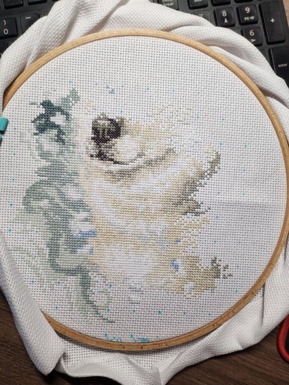 Этап процесса «PANNA - Верный хаски»