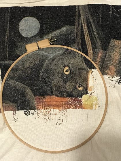 Этап процесса «Кот»