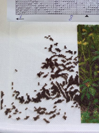 Этап процесса «Уголок заросшего сада. Сныть-трава. От Золотого Руно»