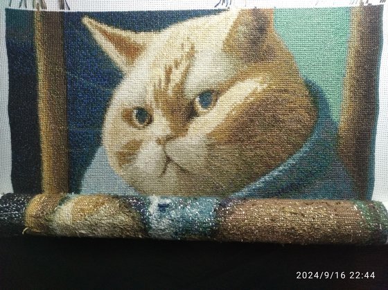 Этап процесса «Кот вязальщик»