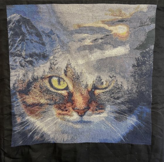 Этап процесса «Хозяин Мира»