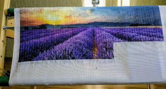 Этап процесса «Лавандовое поле.»