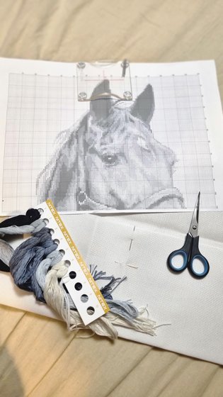 Этап процесса «Лошадь»