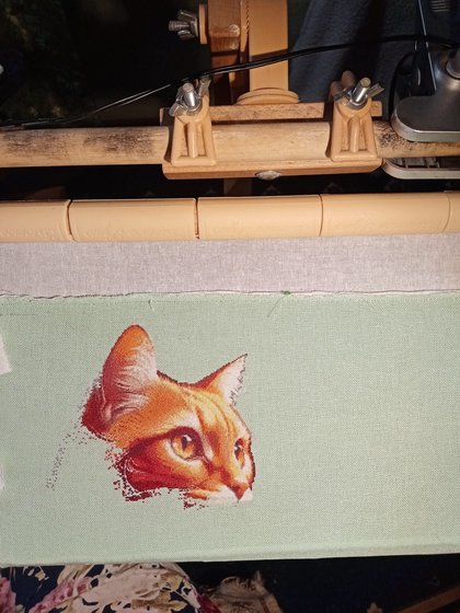 Этап процесса «Рыжий кот»