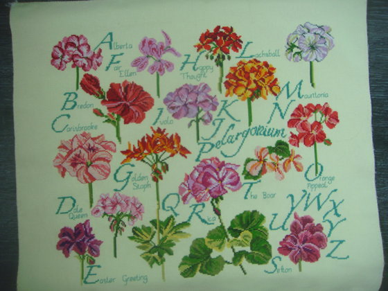 Этап процесса «Сэмплер  с  геранью.»