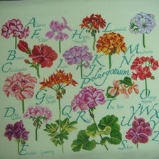 Процесс «Сэмплер  с  геранью.»