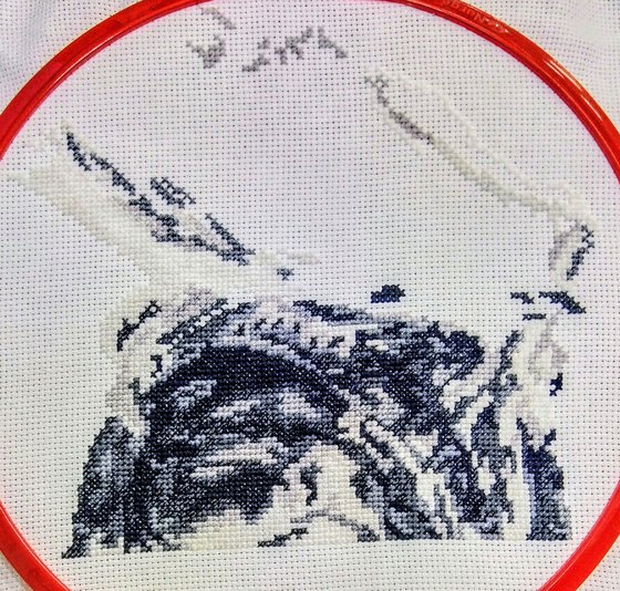 Этап процесса «Влюблённые совики»