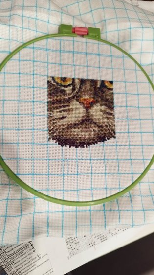 Этап процесса «Зимний кот в шапке»