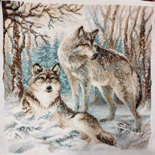 Процесс «"Волчья пара" Риолис 1393»