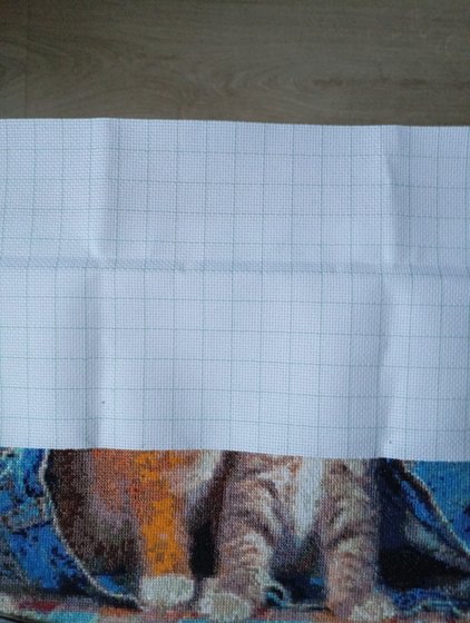 Этап процесса «Котята»