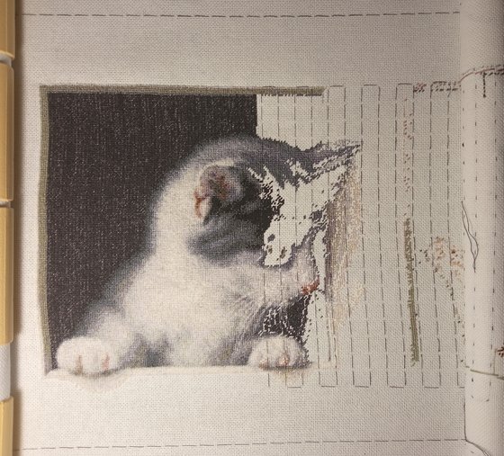 Этап процесса «Кошки-мышки»