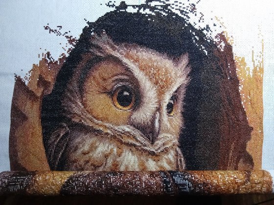 Этап процесса «Совёнок»