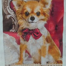 Процесс «сабаченка»