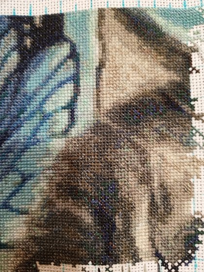 Этап процесса «Чешир.»