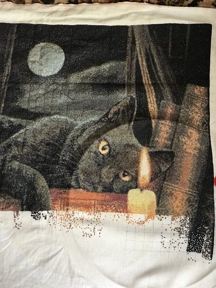 Этап процесса «Кот»