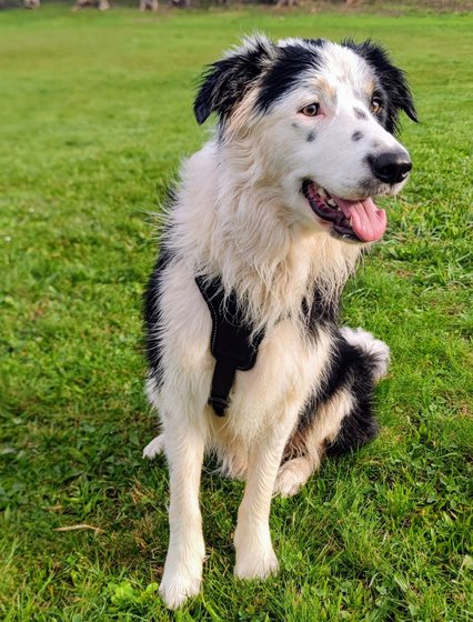 Этап процесса «Django3»