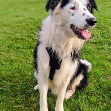 Процесс «Django3»