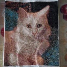 Процесс «№8637»