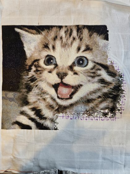 Этап процесса «Котенок»