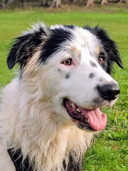 Этап процесса «№9443»