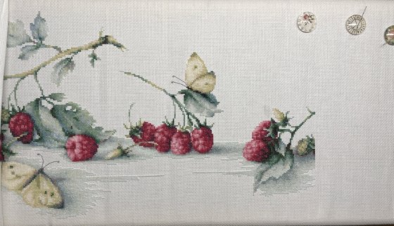 Этап процесса «LucaS»