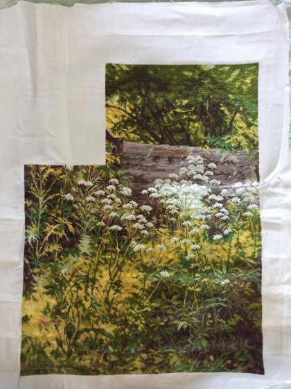 Этап процесса «Уголок заросшего сада. Сныть-трава. От Золотого Руно»