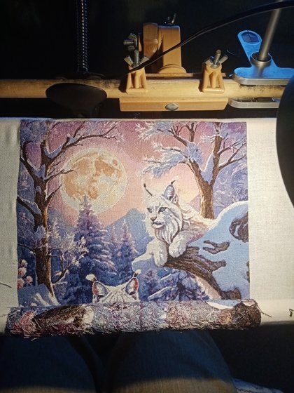 Этап процесса «Снежные рыси»