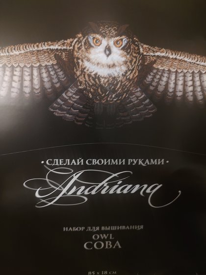 Этап процесса «Сова»