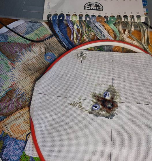 Этап процесса «The blue eyes cat»