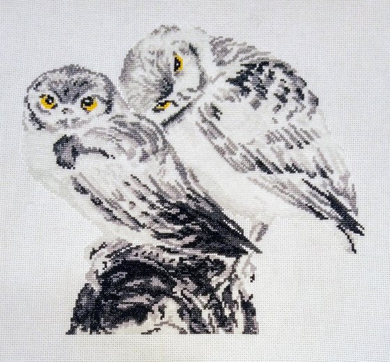 Этап процесса «Влюблённые совики»