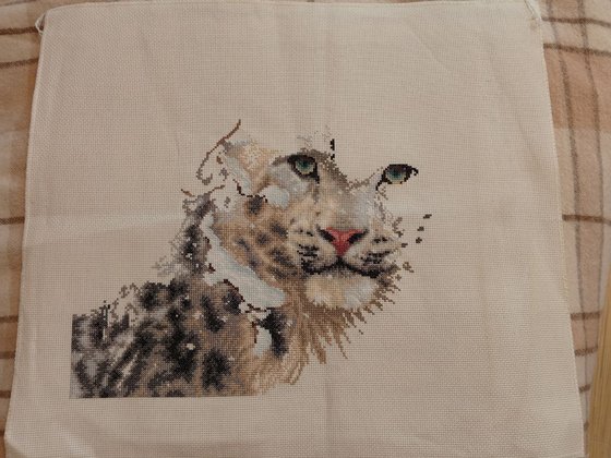 Этап процесса «Snow Leopard»