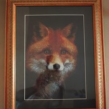 Процесс «Лисичка!»