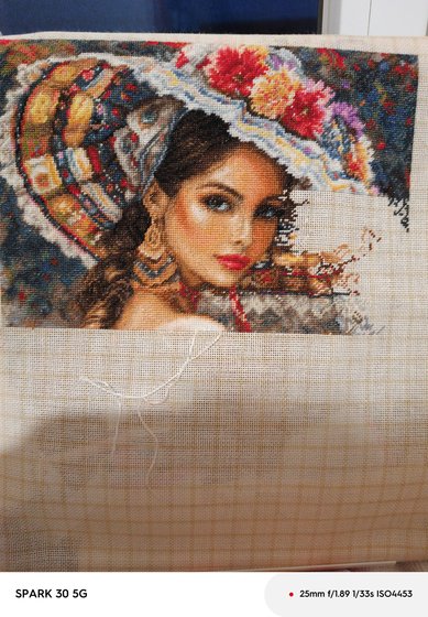 Этап процесса «Luca s мексиканский праздник»