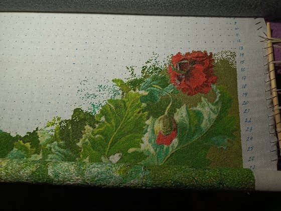 Этап процесса «Маки»