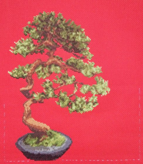 Этап процесса «Денежное дерево»