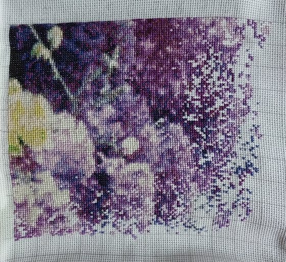 Этап процесса «Рай на Земле»