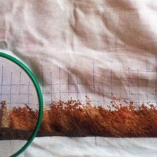 Процесс «Львица.»