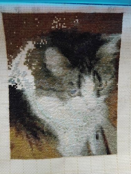 Этап процесса «Муся в коробке»