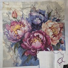 Процесс «Пионы лука с»