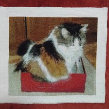 Процесс «Муся в коробке»