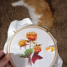 Процесс «Cloudberry»