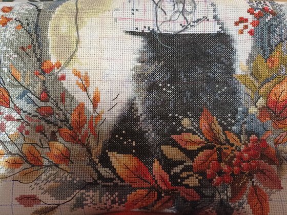 Этап процесса «Лунный кот»