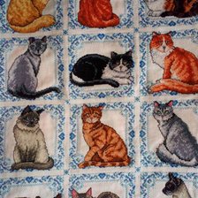 Процесс «Кошачий  календарь»